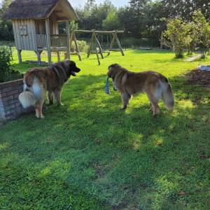 IMG-20230828-WA0076