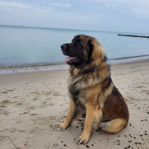 IMG-20230929-WA0007 IMG-20230929-WA0007