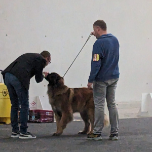 IMG-20231112-WA0018 IMG-20231112-WA0018