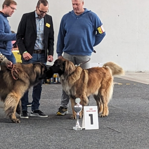 IMG-20231112-WA0042 IMG-20231112-WA0042