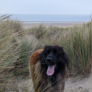 IMG-20231208-WA0019 IMG-20231208-WA0019