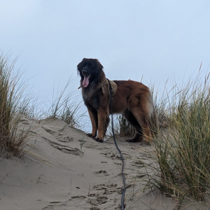 IMG-20231208-WA0022 IMG-20231208-WA0022