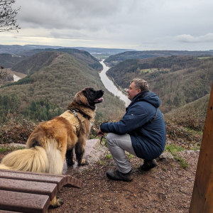 IMG-20240210-WA0018 IMG-20240210-WA0018