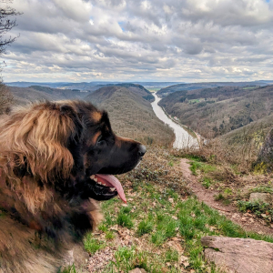 IMG-20240316-WA0028 IMG-20240316-WA0028