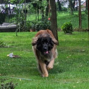 IMG-20240712-WA0003 IMG-20240712-WA0003