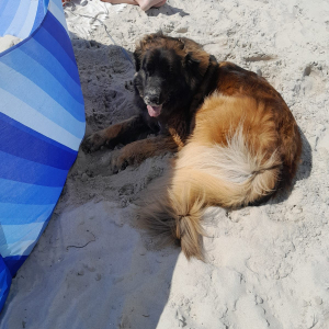 IMG-20240714-WA0011 IMG-20240714-WA0011