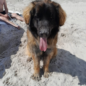 IMG-20240714-WA0012 IMG-20240714-WA0012