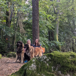 IMG-20240903-WA0061 IMG-20240903-WA0061