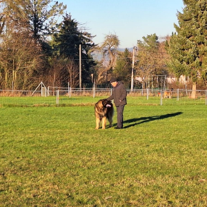 IMG-20241201-WA0039 IMG-20241201-WA0039