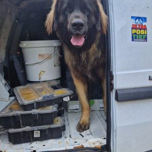 IMG-20250108-WA0001