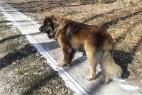 e12