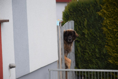 10_DSC_0302