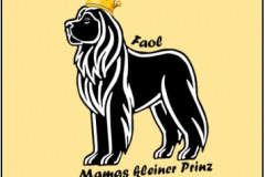 IMG-20250112-WA0038